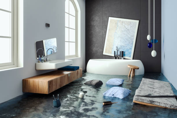 Best Mold removal after water damage  in Chaffee, MO
