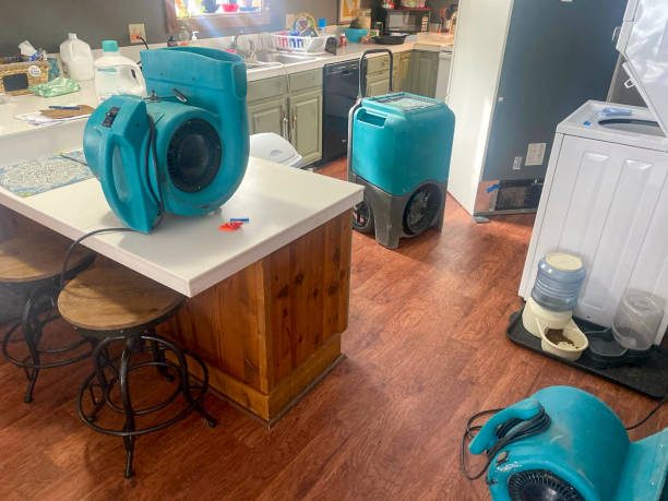 Best 24-hour water damage restoration  in Chaffee, MO