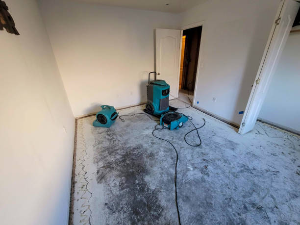 Best Emergency water damage restoration  in Chaffee, MO