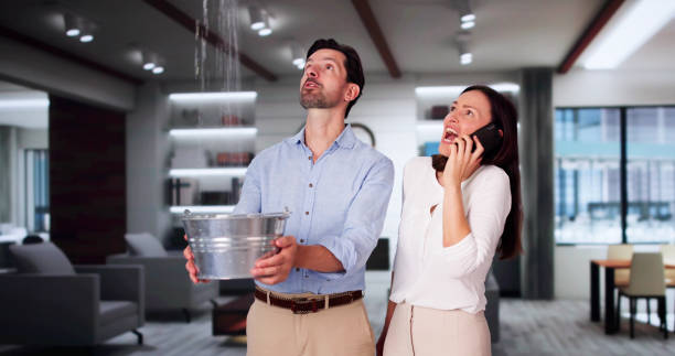 Best Commercial water damage restoration  in Chaffee, MO