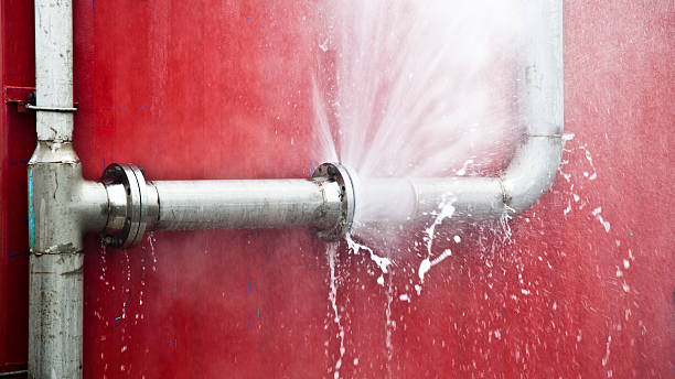 Best Flood damage cleanup  in Chaffee, MO